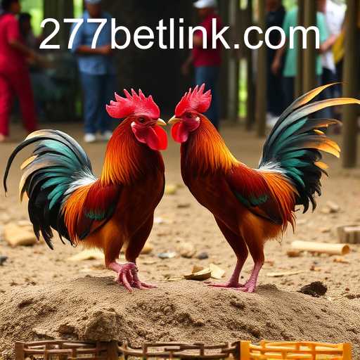 Understanding Sabong Games: A Deep Dive into the Popularity and Dynamics of '277bet PH Login'